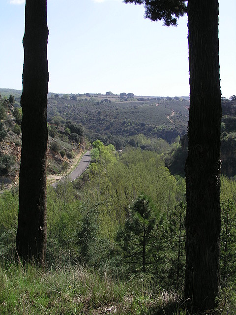 Cerca de Valdesotos