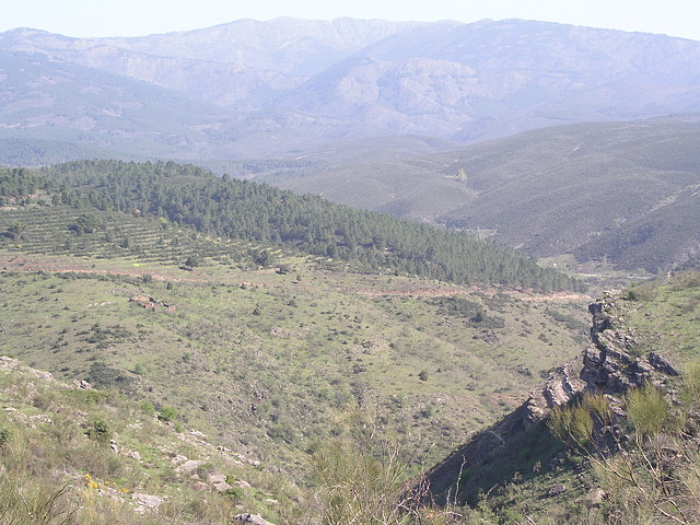 De camino a Alpedrete de la Sierra