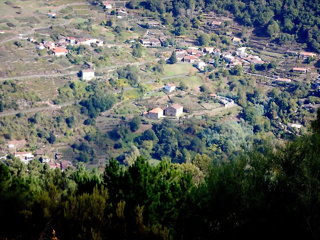 DSCN1290 DSCN1290