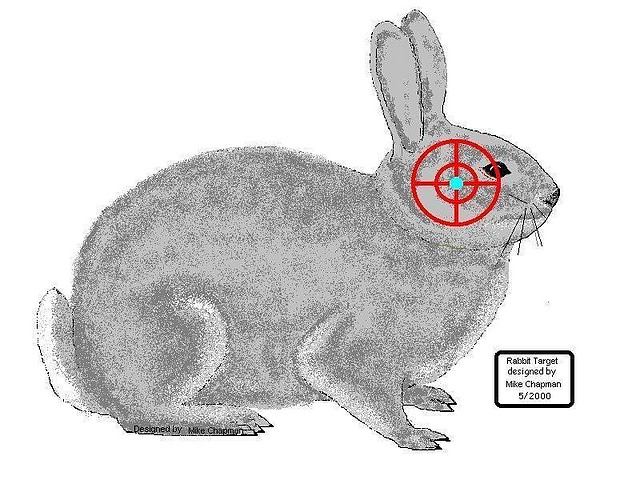 Rabbit%20target Rabbit%20target