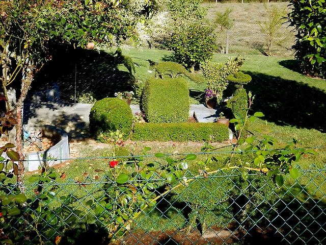 DSCN4239 DSCN4239
