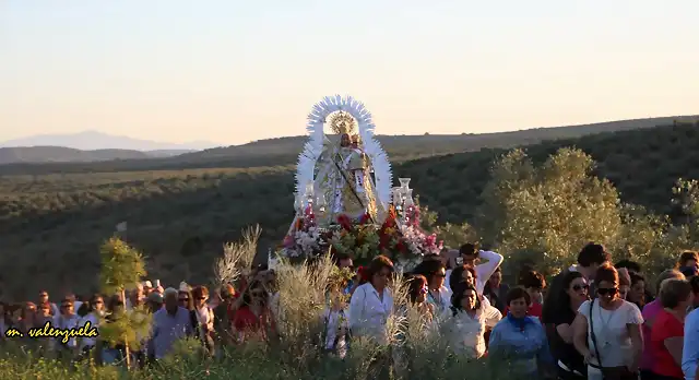 29, llegando arriba, marca vale