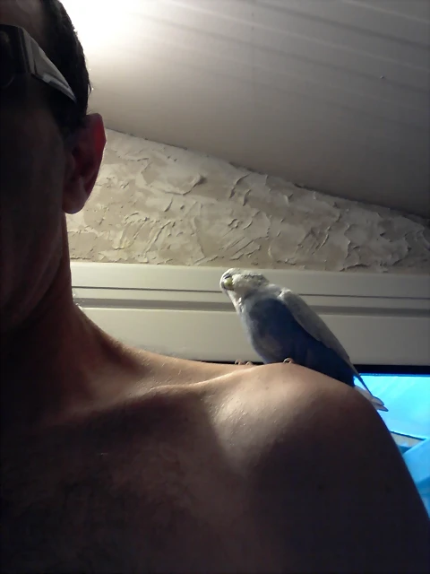 guapo 3 guapo 3
