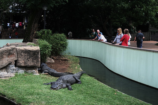 National Geological Gardens Pretoria + Sterkfontein Cave 21-3-09 086 National Geological Gardens Pretoria + Sterkfontein Cave 21-3-09 086