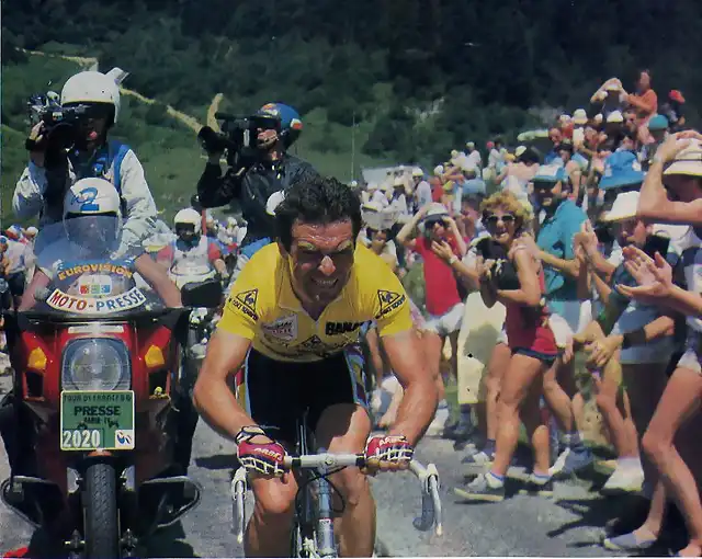 TDF-1986