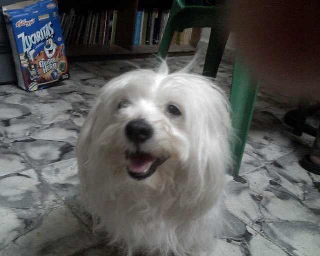 SNOOPY EN UNA POSE