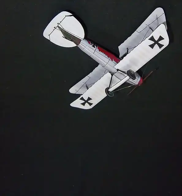 Albatros DV (57)
