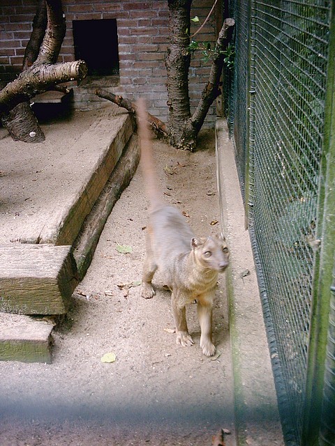 PIC03316 PIC03316