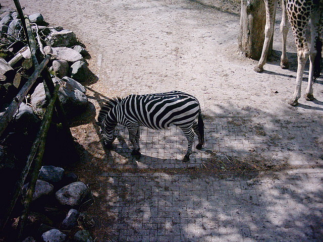 PIC03350 PIC03350