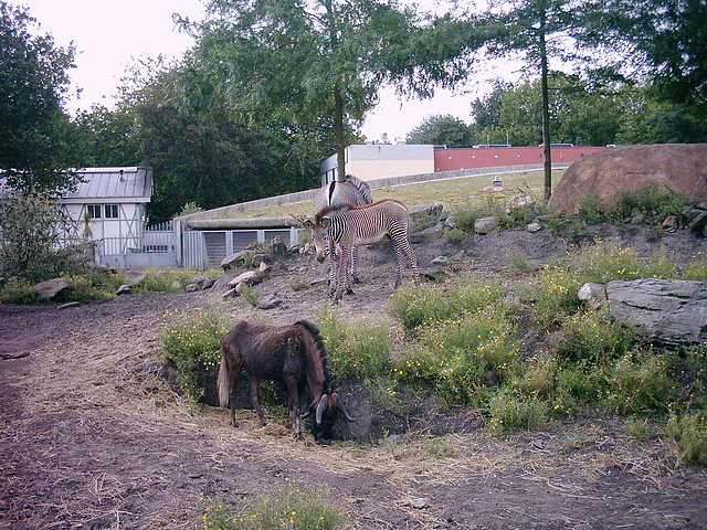 PIC03317 PIC03317