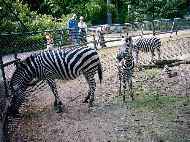 PIC03369 PIC03369