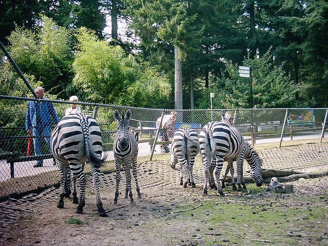 PIC03372 PIC03372