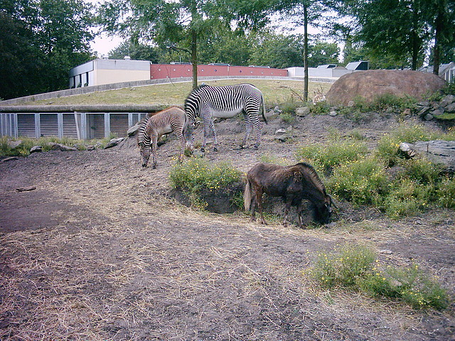 PIC03320 PIC03320