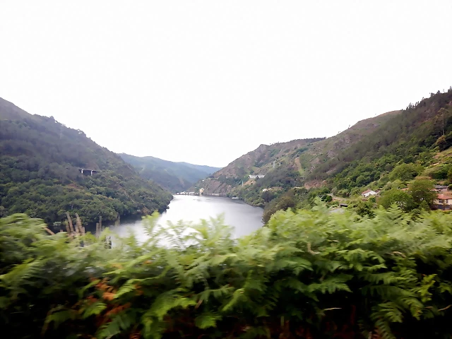 DSCN3545 DSCN3545