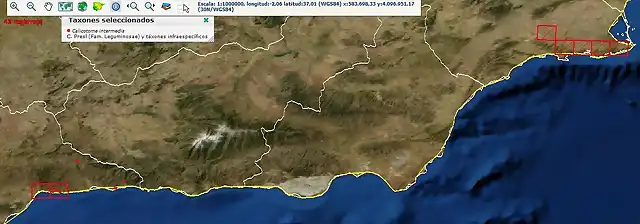 Screenshot_2019-04-01 Anthos Sistema de informaci?n sobre las plantas de Espa?a (2) JPG