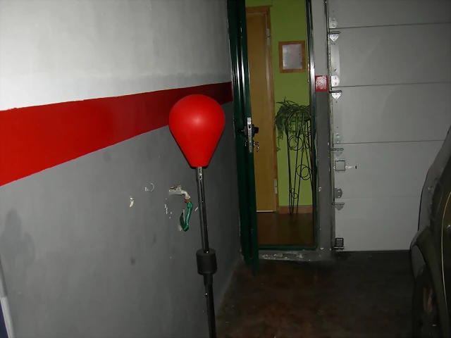 DSCN2810 DSCN2810