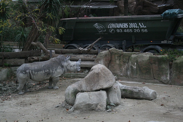 Zoo de Barcelona 15-12-2010 058