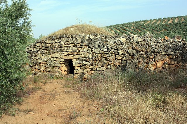 caracol