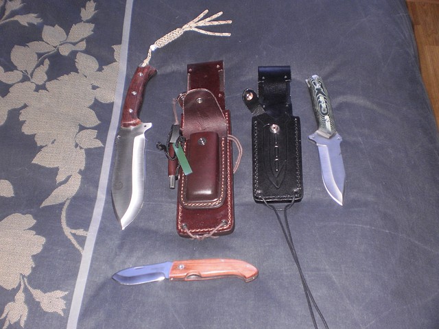 iberus gladius