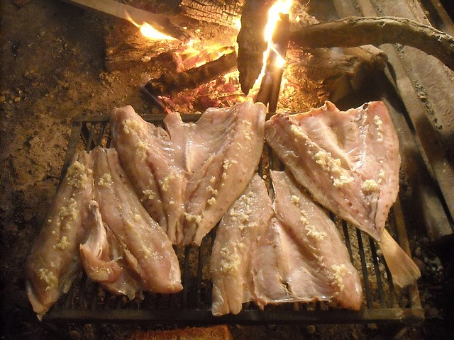 corvinas parrilla 2012