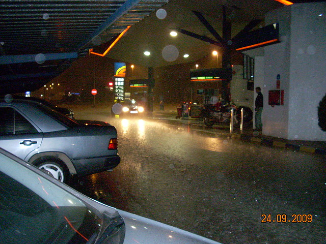 DSCN1139 DSCN1139