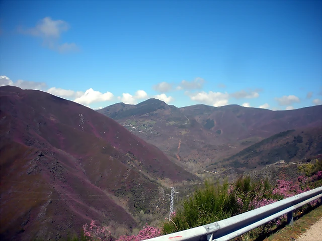 DSCN3946 DSCN3946