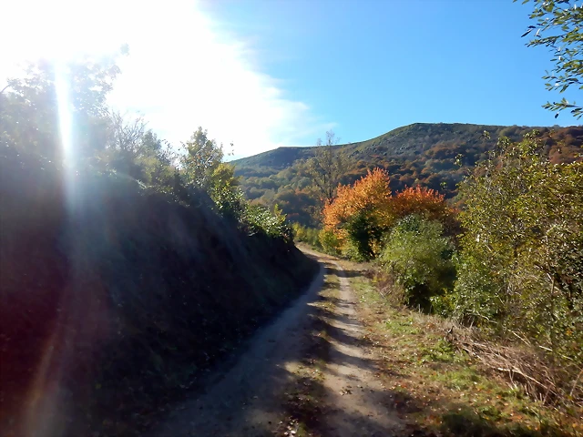 DSCN0022 DSCN0022
