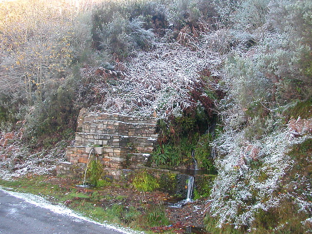 DSCN4791 DSCN4791