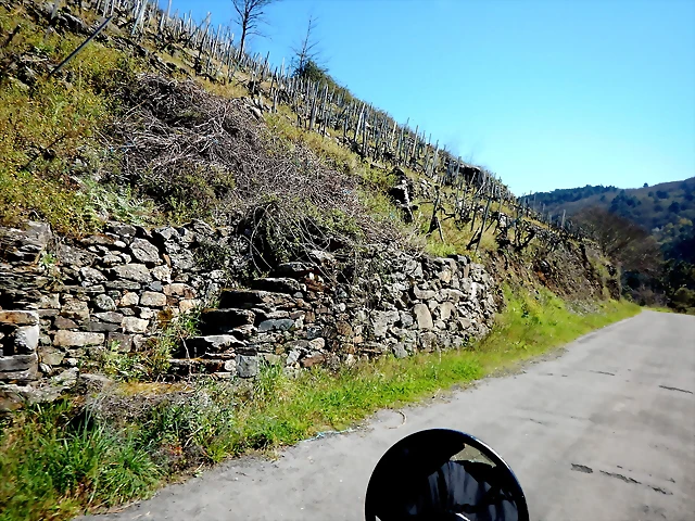 DSCN5173 DSCN5173