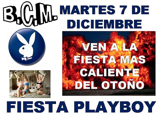 fiesta playboy2 fiesta playboy2