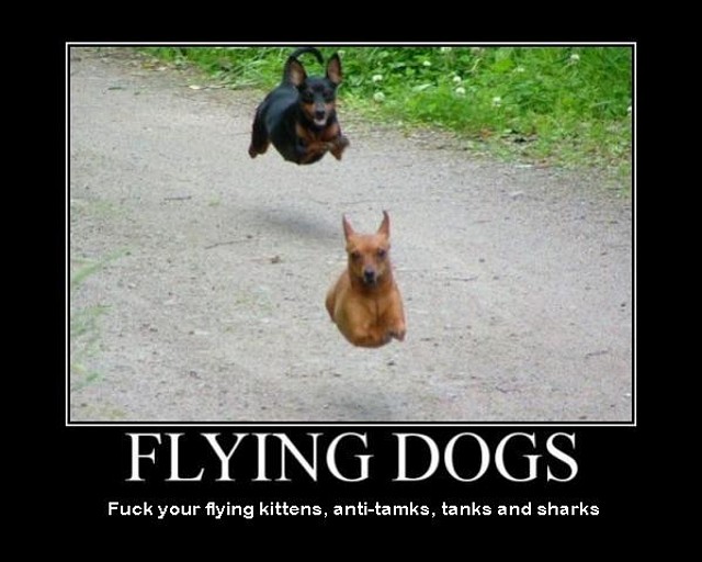 406-flying-dogs-fuck-your-flying-kittens-tanks-and-sharks