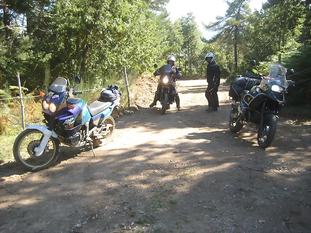IMG_0500 IMG_0500