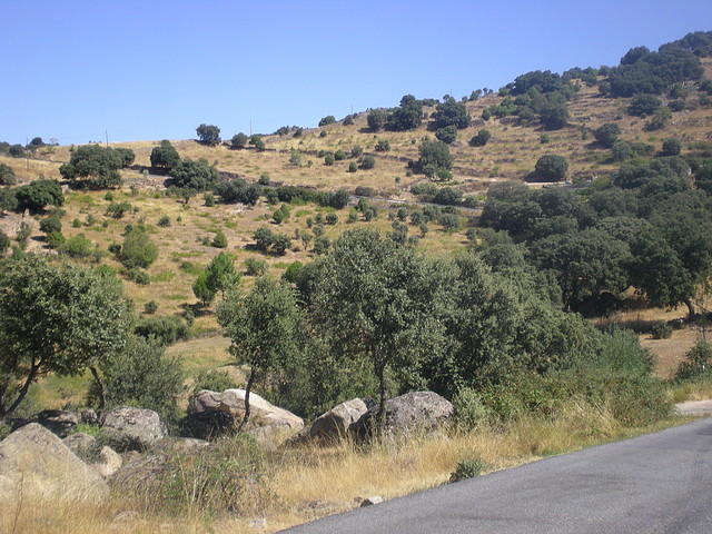 Alto de el Segoviano 2 parte 051