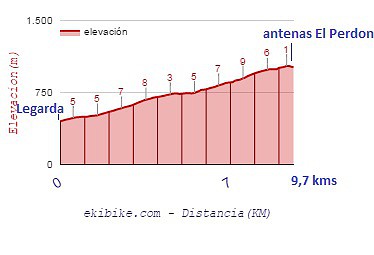 Perdon ant