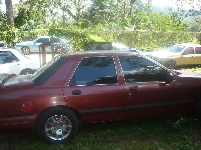 P1000559 P1000559