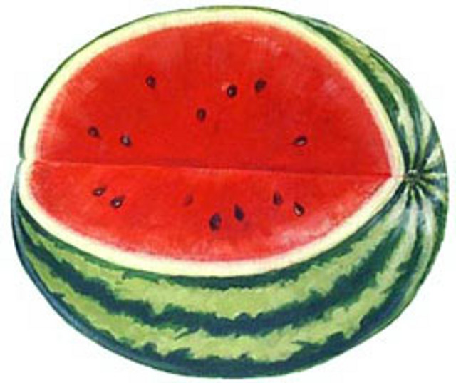 dieta-de-la-sandia