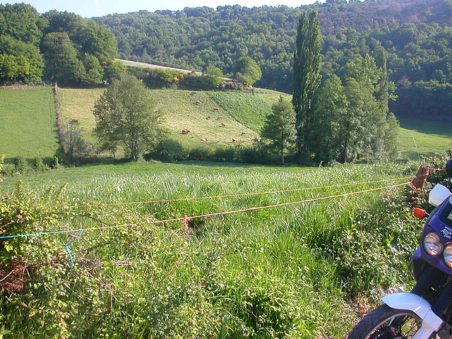 DSCN6925 DSCN6925