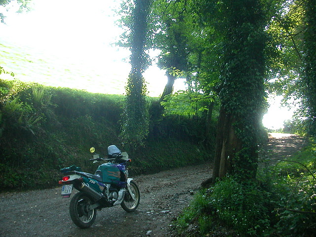 DSCN6941 DSCN6941