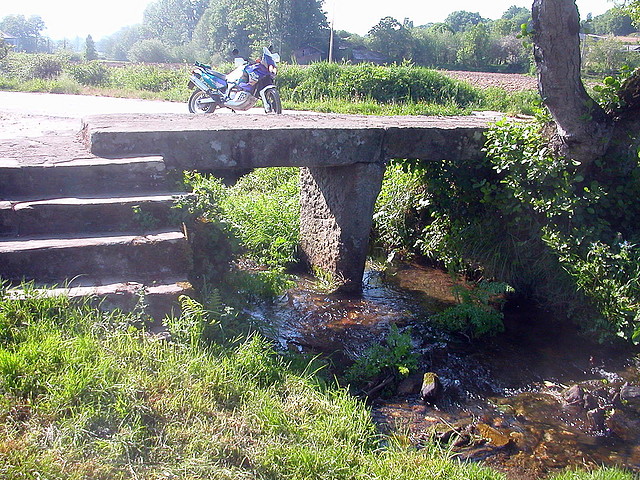 DSCN6919 DSCN6919