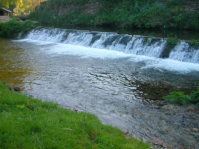 DSCN7020 DSCN7020