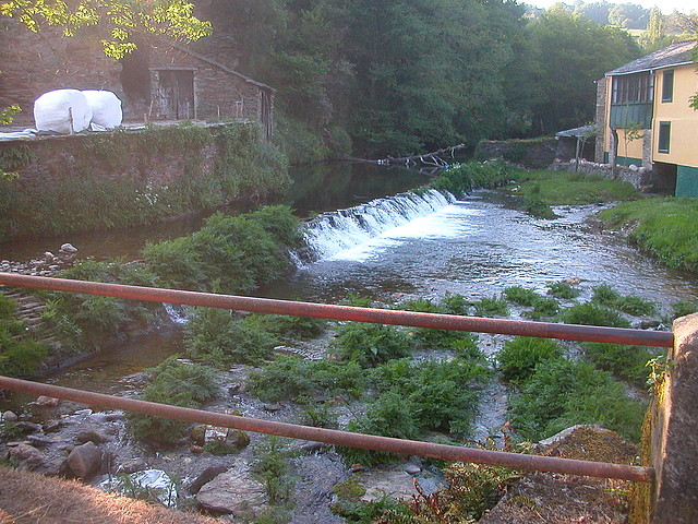 DSCN7003 DSCN7003