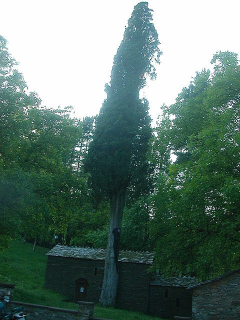 DSCN7028 DSCN7028