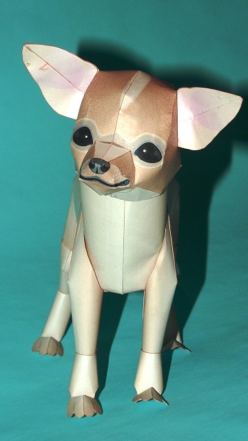 Chihuahua (Cabeza de manzana) Papercraft