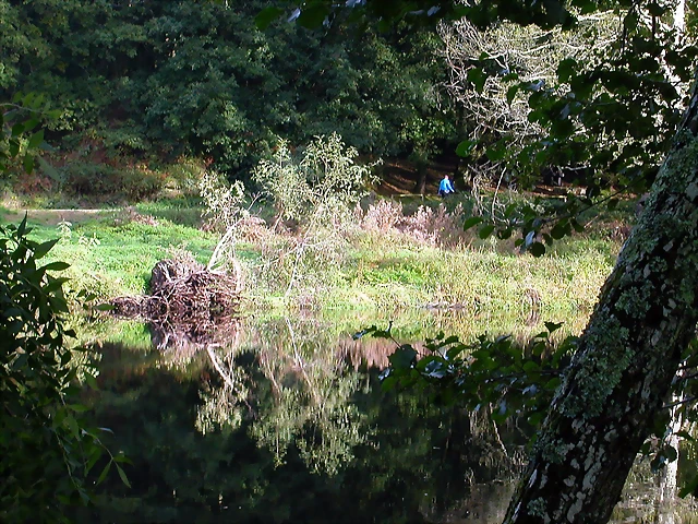 DSCN5292 DSCN5292