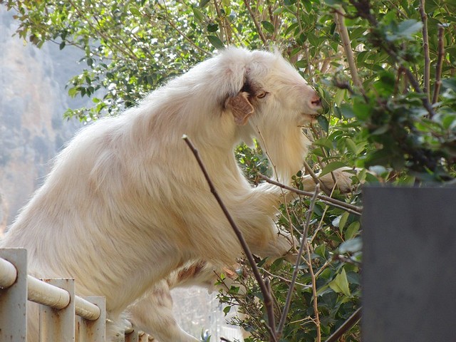Image00003