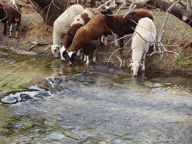 Image00007