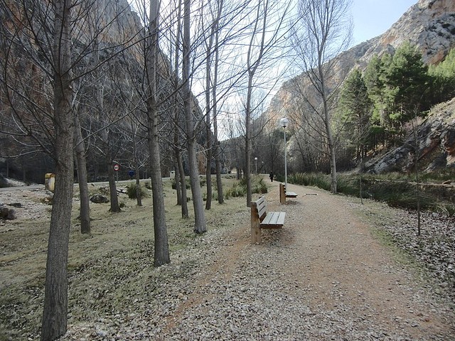 Image00010