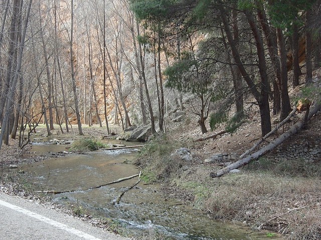 Image00013