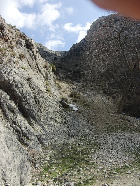Image00004
