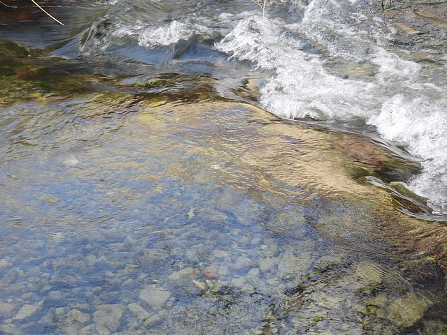 Image00006